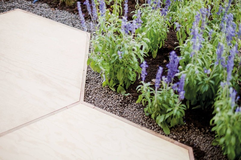 城市里的小口袋