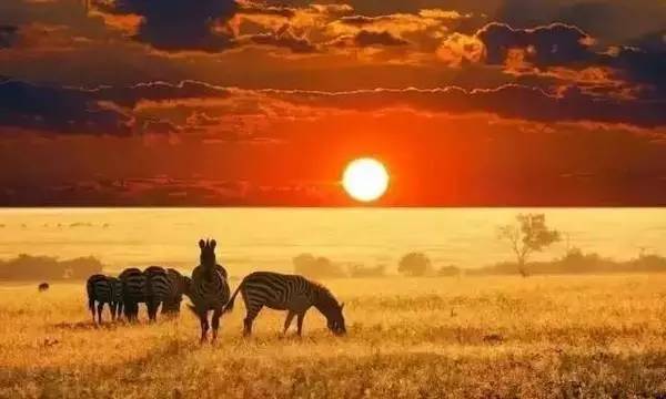 南非好比我国八十年代，你的灯只要能进市场就可赚钱