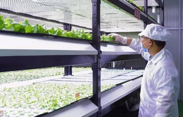 天宫二号要种植受光周期调控的植物，我要去月球卖灯了