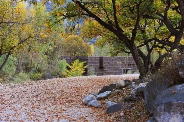 周末推荐丨放下手机，去这最美的九家书店享受周末时光吧！