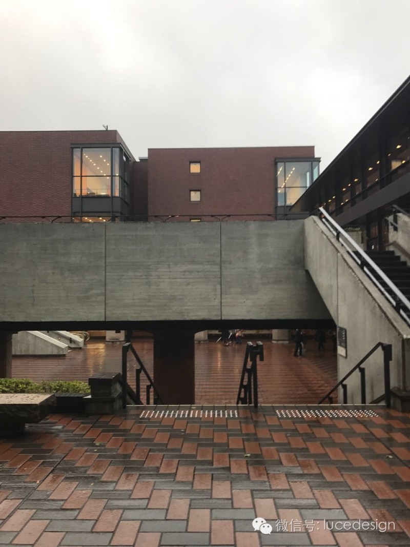 魅力东京—时光未央，岁月静好。