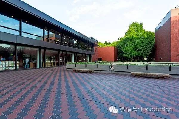 魅力东京—时光未央，岁月静好。