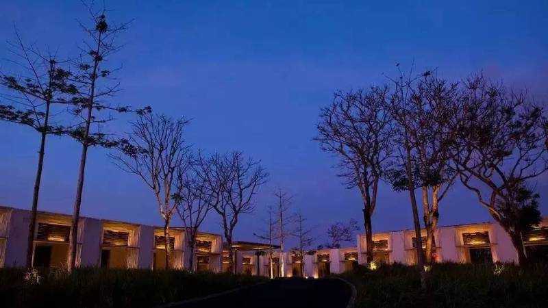 灯光渲染下的度假村与自然共生