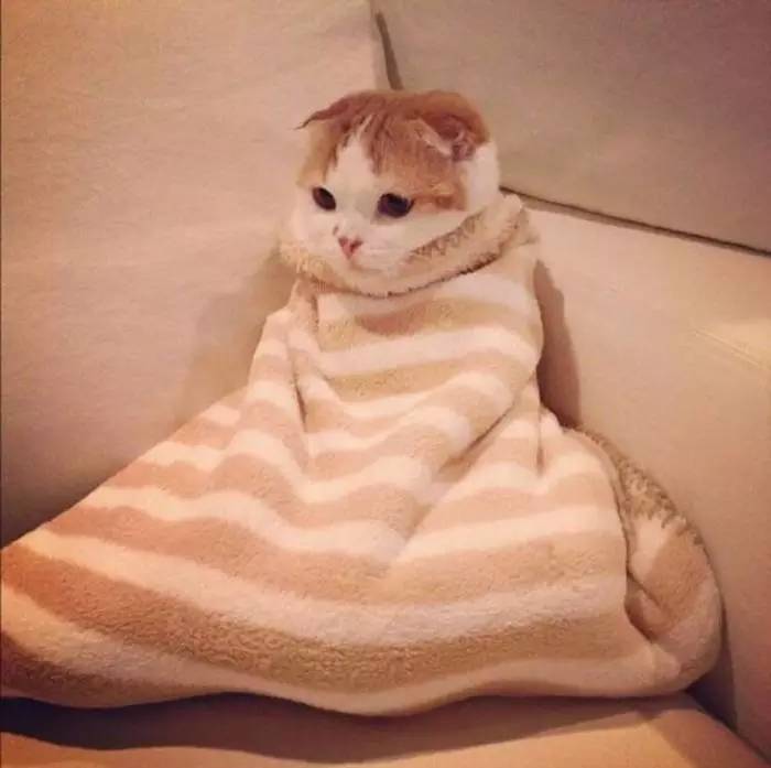 是谁不靠谱地说，木林森的LED灯可以取暖？