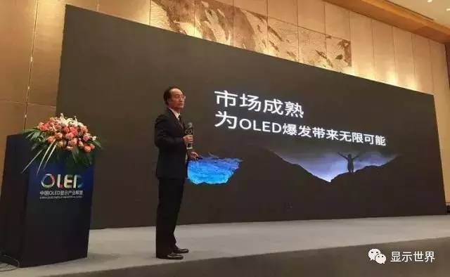 共迎OLED显示新纪元——2016中国OLED显示产业峰会在杭州盛大召开