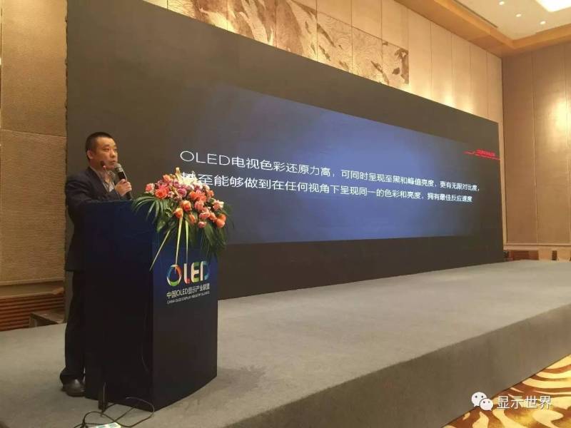 共迎OLED显示新纪元——2016中国OLED显示产业峰会在杭州盛大召开