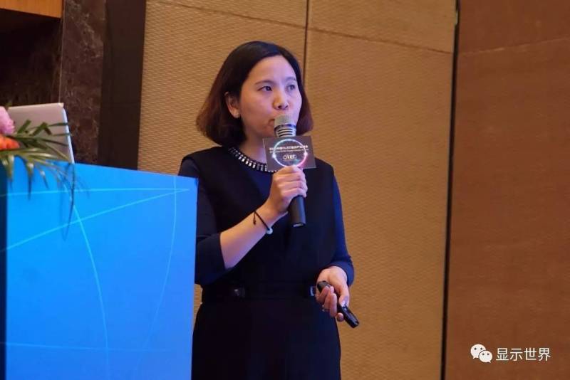 共迎OLED显示新纪元——2016中国OLED显示产业峰会在杭州盛大召开