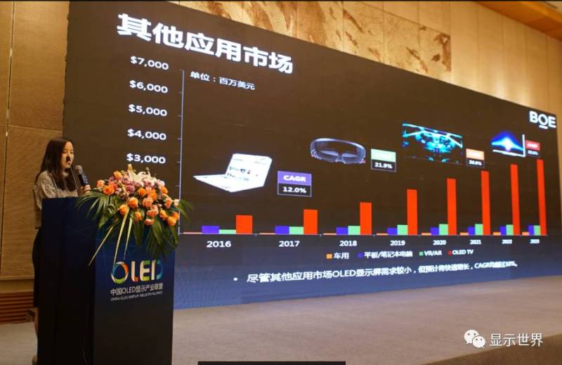 共迎OLED显示新纪元——2016中国OLED显示产业峰会在杭州盛大召开