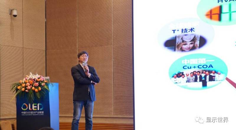 共迎OLED显示新纪元——2016中国OLED显示产业峰会在杭州盛大召开