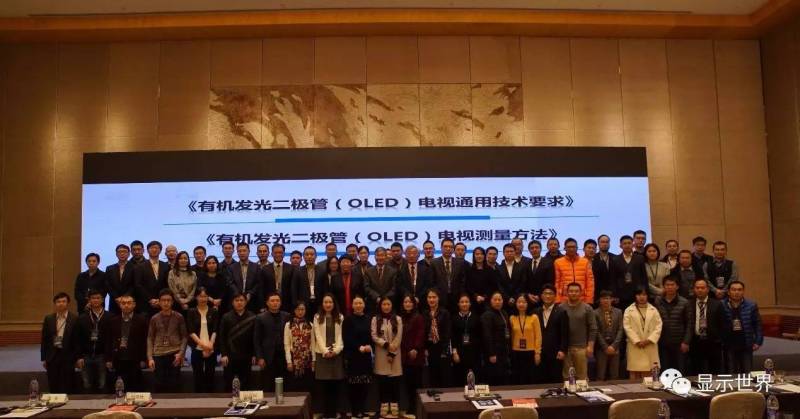 共迎OLED显示新纪元——2016中国OLED显示产业峰会在杭州盛大召开