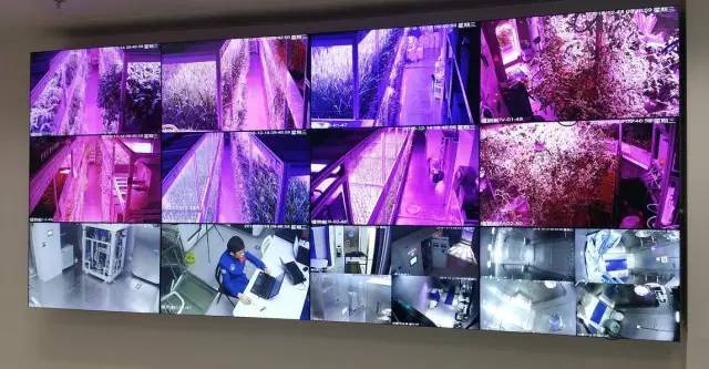 从绿航星际收官 看太空植物栽培实验和照明对人生物节律的影响研究