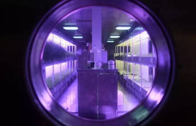 从绿航星际收官 看太空植物栽培实验和照明对人生物节律的影响研究