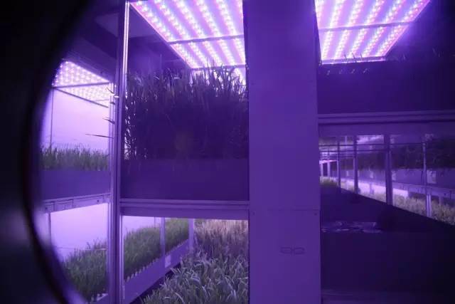 从绿航星际收官 看太空植物栽培实验和照明对人生物节律的影响研究