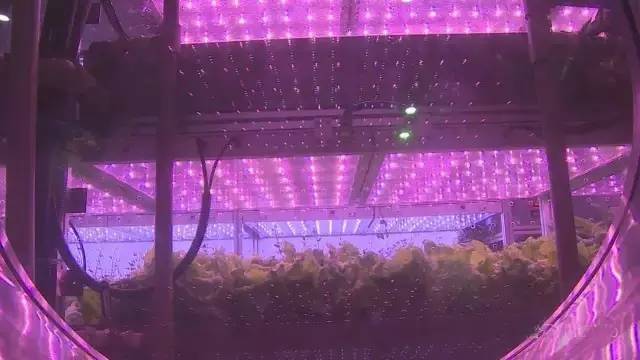 从绿航星际收官 看太空植物栽培实验和照明对人生物节律的影响研究