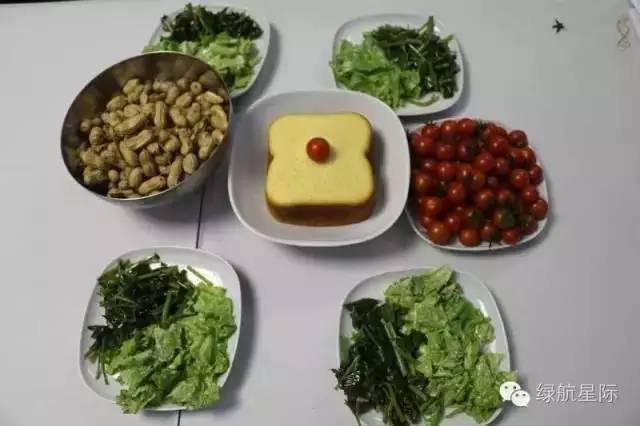 从绿航星际收官 看太空植物栽培实验和照明对人生物节律的影响研究