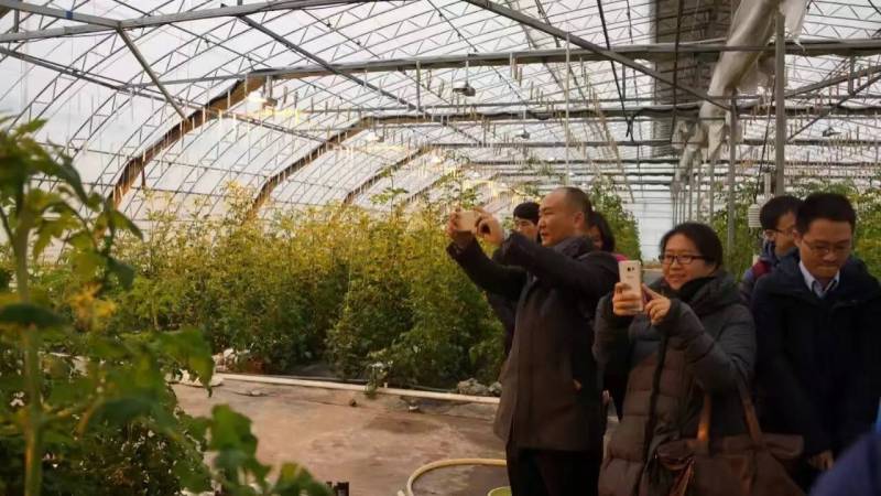 中国照协工作人员参观京郊植物工厂