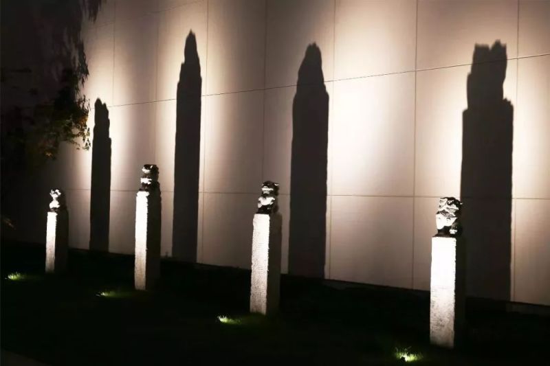 绍兴饭店丨柔和的暖光为夜色送去一丝温柔