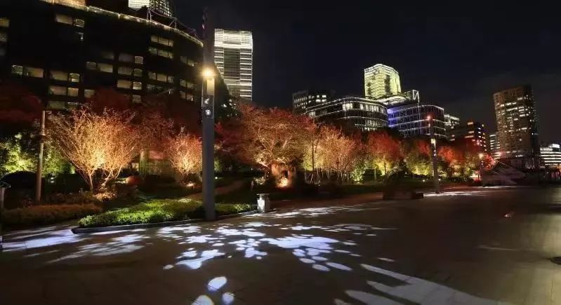 夜北外滩景观照明全面升级改造完成