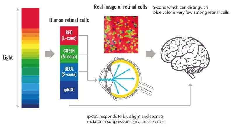 十分钟带你认识“全光谱”