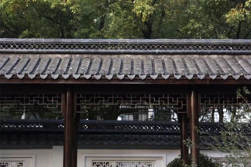 绍兴饭店丨柔和的暖光为夜色送去一丝温柔