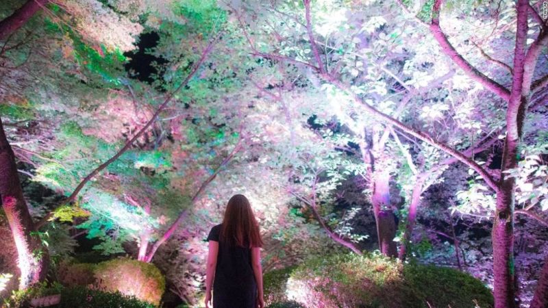 四个案例看懂「未来灯光设计」