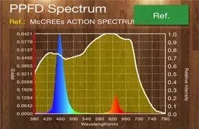 [Light·照明界]想要做好植物照明？先弄懂这些知识吧
