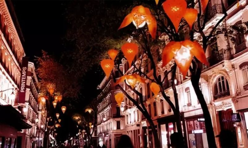 2018法国里昂灯光节丨光与影的艺术碰撞