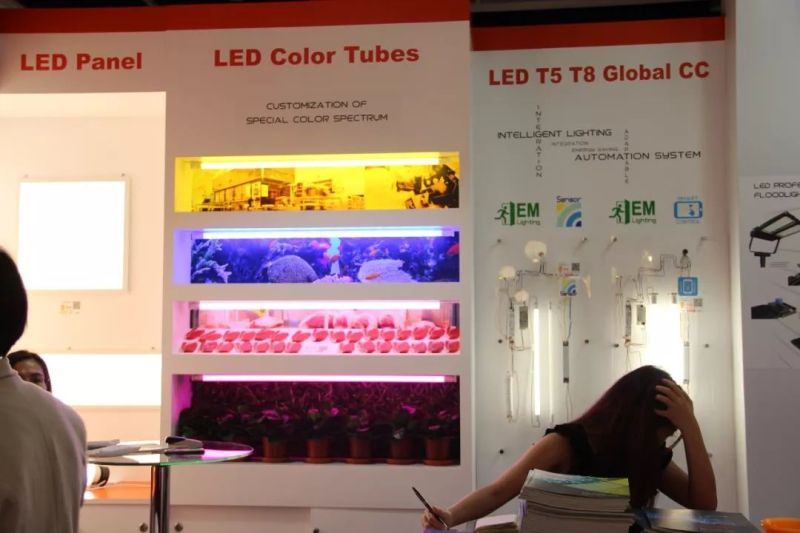 展会直击 | 中国之光网带你逛2018香港国际秋季灯饰展