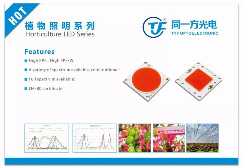 同一方光电 | 与您相约俄罗斯照明展