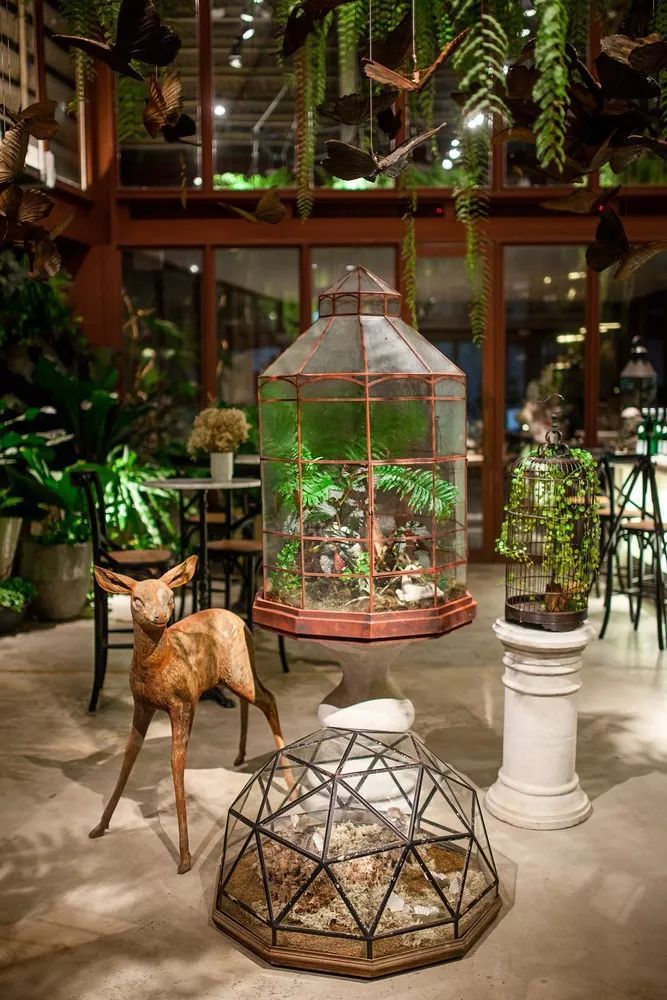 为何森林系餐厅有格调？真相就在于这些灯光！