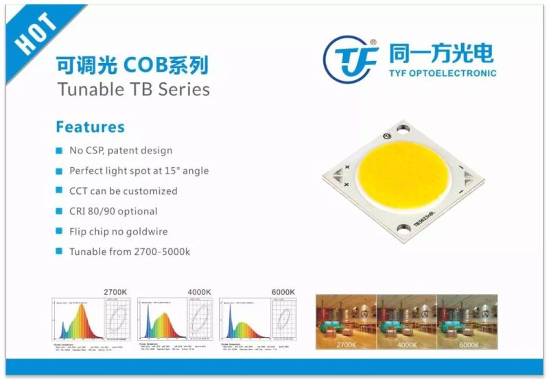 同一方光电 | 与您相约俄罗斯照明展