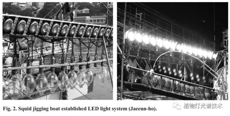 使用水冷型LED集鱼灯系统的设计和性能评估（二）
