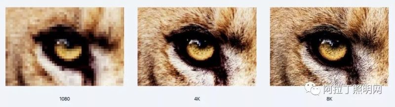 2019 CES展会这8个黑科技产品有没有shock到你？