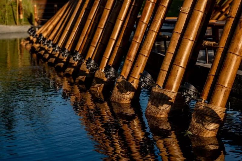 “发光的水上竹林” - 竹跡館，台中 / 坐設計事務所