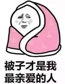 “2018阿姆斯特丹灯光节”29件作品惊艳亮相！