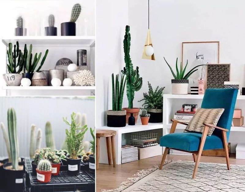 全球2.5亿人评选出的2019十大家居趋势