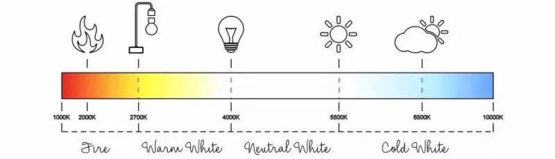 超吸睛！摇摇晃晃的下悬浮灯泡！