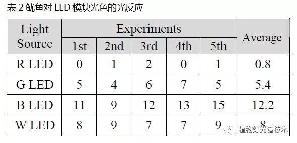 LED集鱼灯对鱿鱼光反应分析