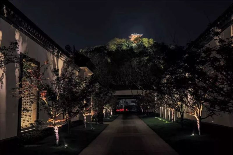 绍兴饭店丨柔和的暖光为夜色送去一丝温柔