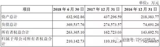 TCL集团重组：中小股东感觉身体被掏空？