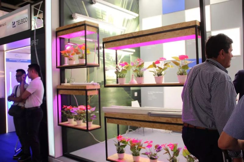 展会直击 | 中国之光网带你逛2018香港国际秋季灯饰展