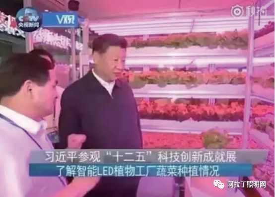 白皮书 | 植物工厂应用案例介绍