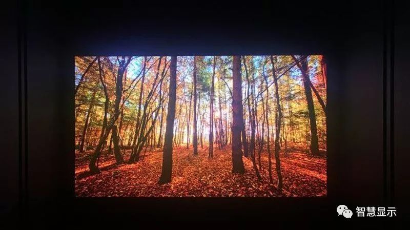 三星该汗颜了，LG全球首款AM Micro-LED将亮相CES2019