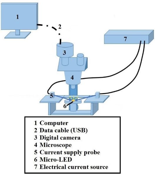 总结：今年Micro/Mini LED领域有这些亮点......