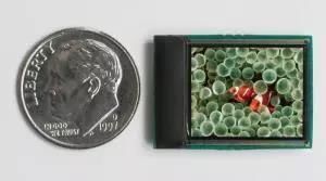 【光链要闻】UDC与视涯达成OLED材料供应协议；瀚宇彩晶也传裁员；鸿海拟搁置美国LCD厂计划