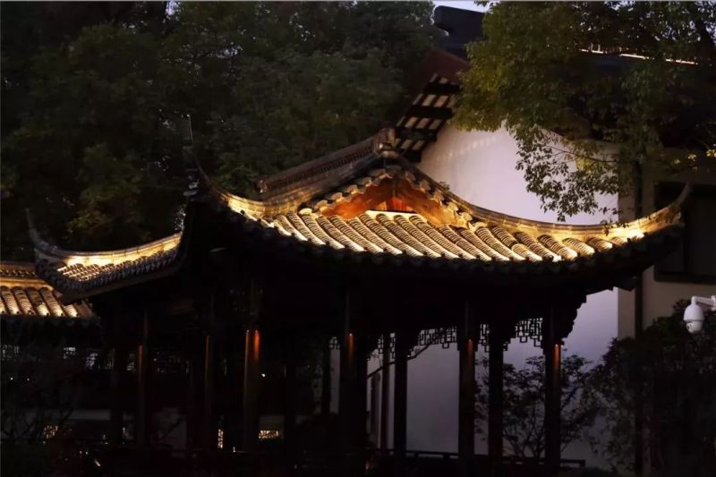 绍兴饭店丨柔和的暖光为夜色送去一丝温柔