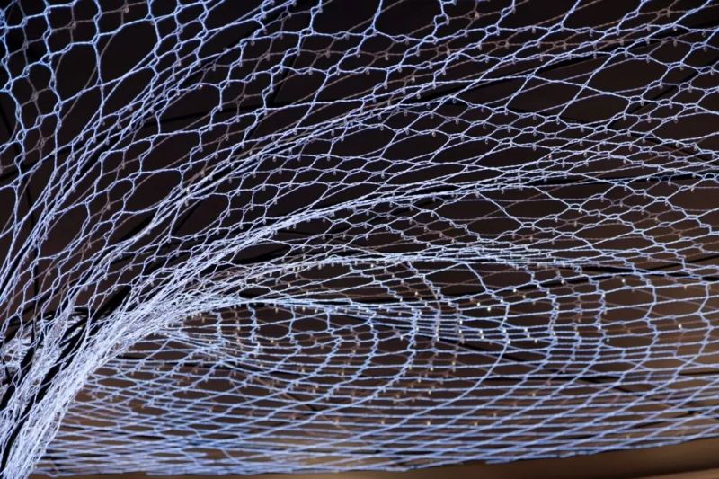 那些从城市中崛起的发光生物装置