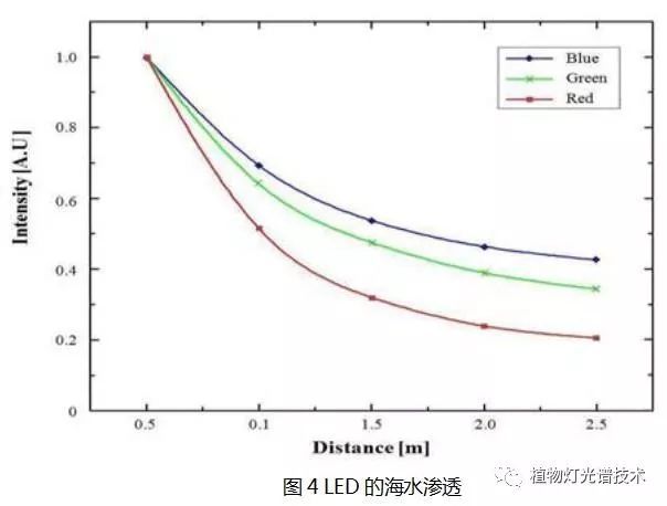 LED集鱼灯对鱿鱼光反应分析