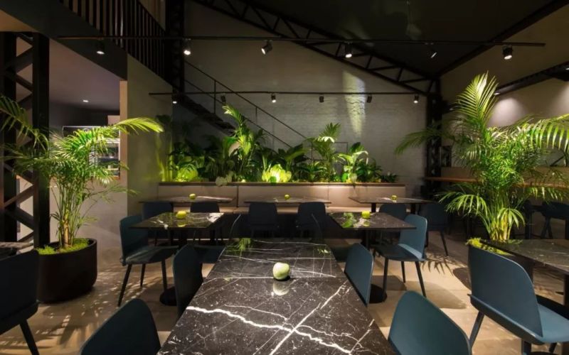 为何森林系餐厅有格调？真相就在于这些灯光！