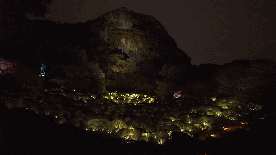 四个案例看懂「未来灯光设计」